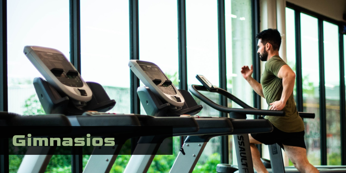 Imagen de la diapositiva